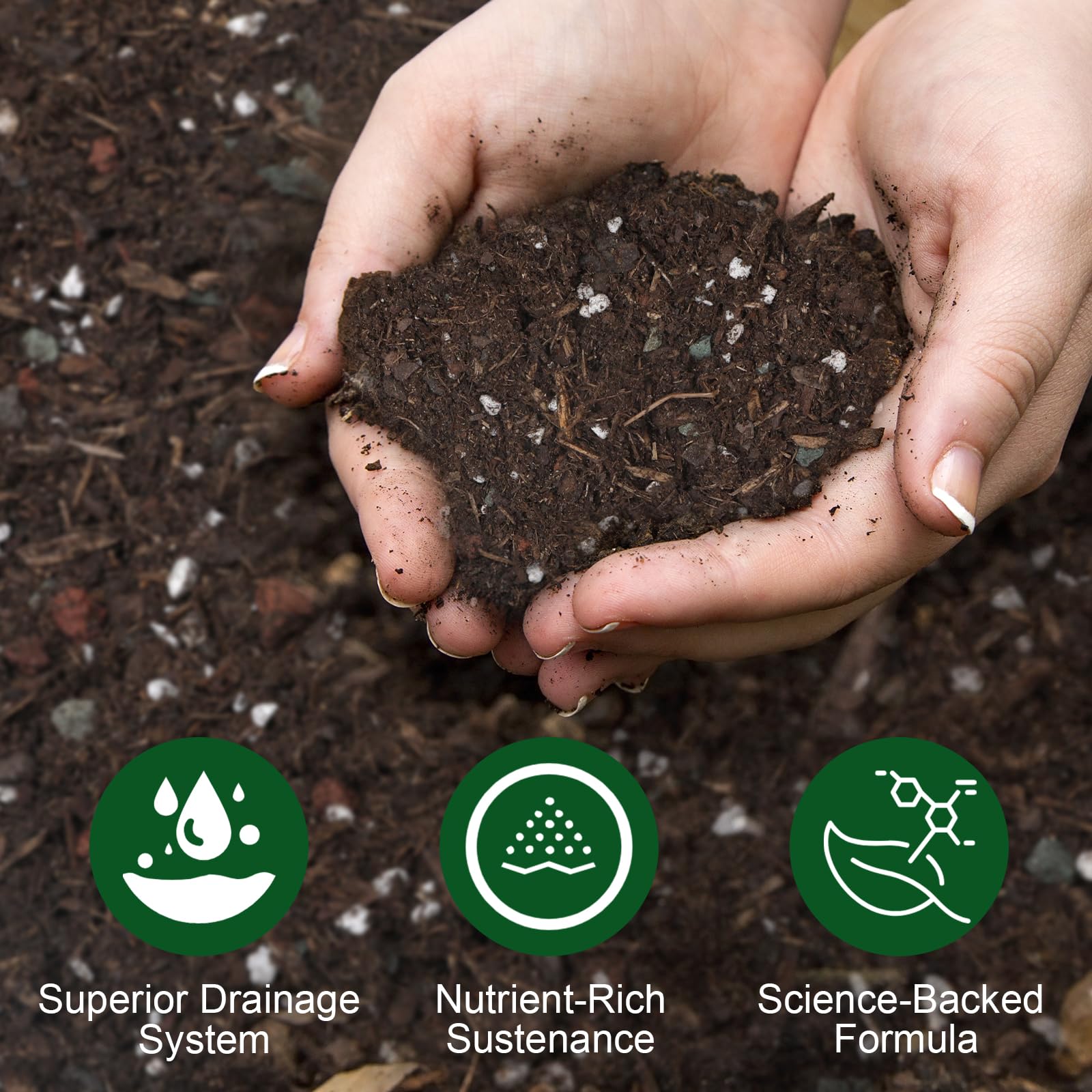 Doter Desert Rose Potting Soil 1qt drainage structure image highlights airy perlite for drainage.