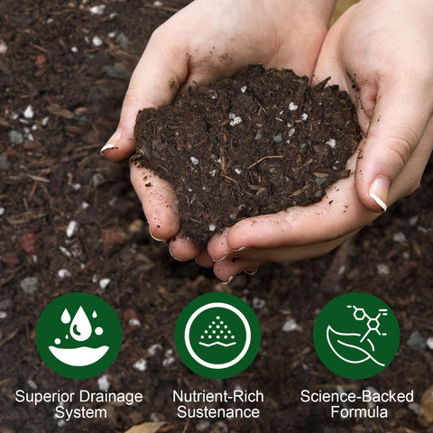 Doter Desert Rose Potting Soil 1qt drainage structure image highlights airy perlite for drainage.