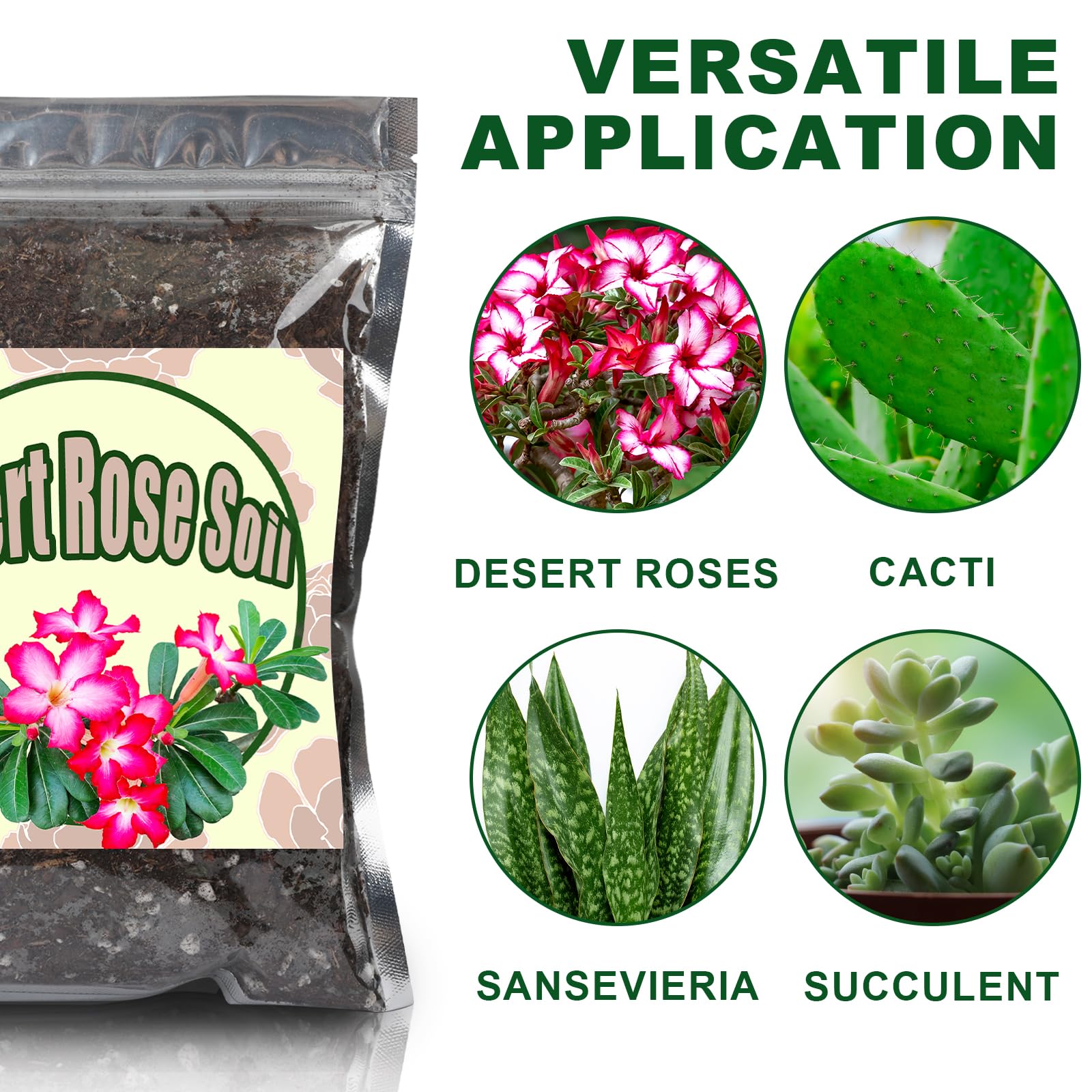 Doter Desert Rose Soil in a patio planter demonstrates outdoor use versatility.