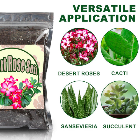 Doter Desert Rose Soil in a patio planter demonstrates outdoor use versatility.