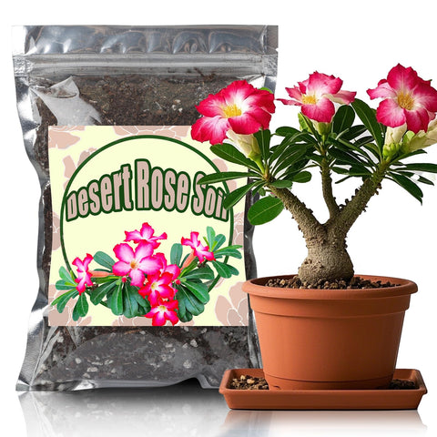 Doter Desert Rose Potting Soil packaging demonstrates a ready-to-use solution for quick repotting.