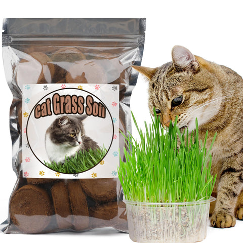Doter disc coconut coir potting system expands with water for easy indoor planting.