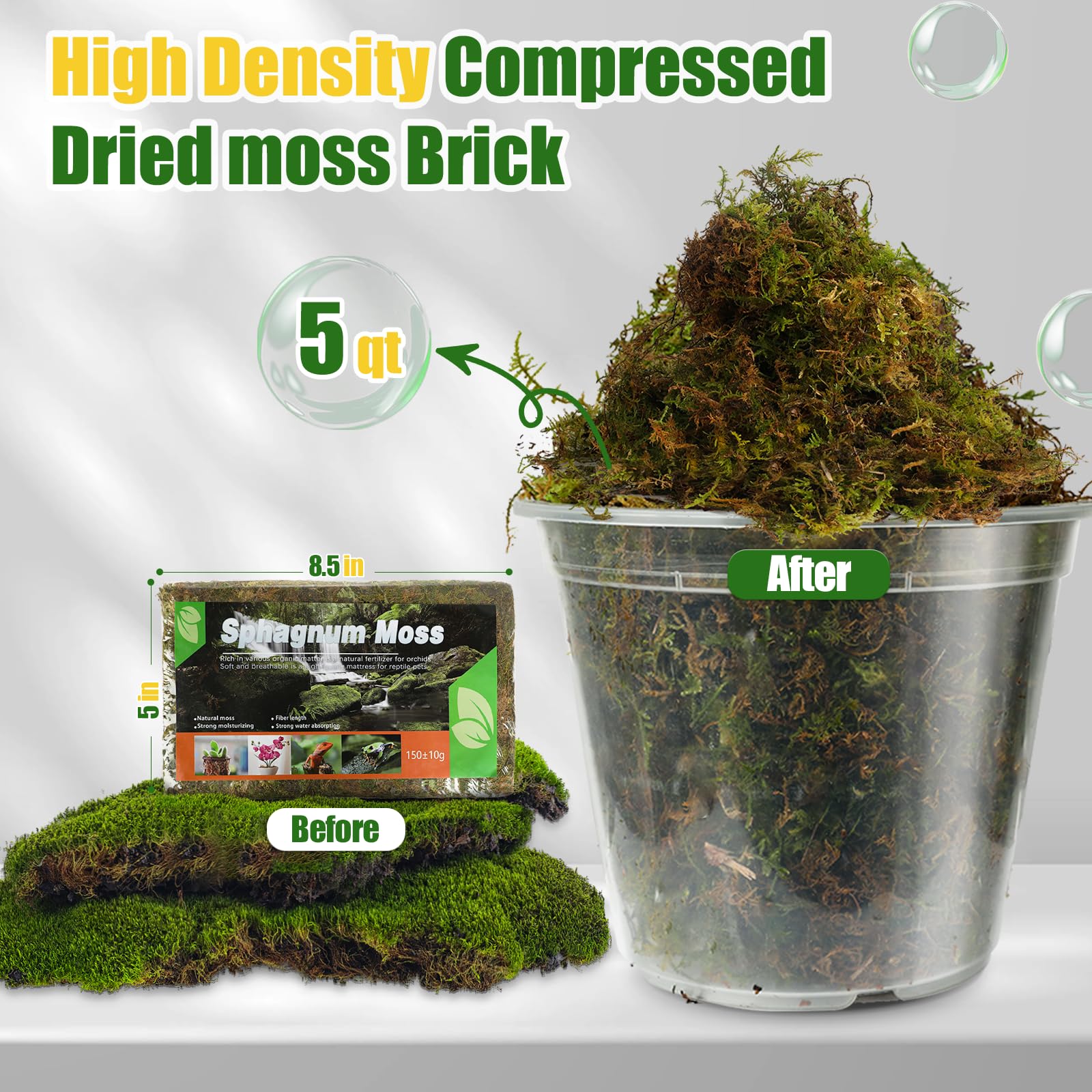 Doter dried forest moss close-up reveals plush texture and moisture-friendly fibers