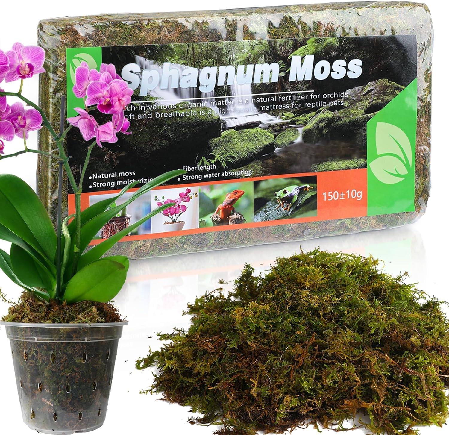 Doter dried forest moss packaging close-up shows natural color and texture