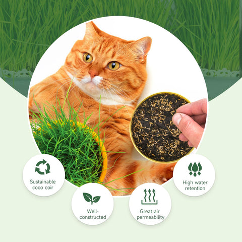 Doter eco-friendly coir discs reduce environmental impact.