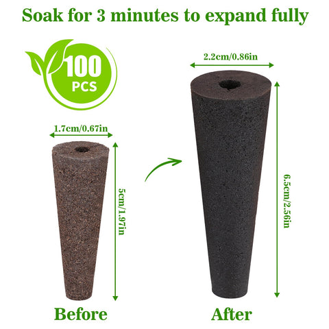 Close-up of Doter Grow Sponges showing moisture retention for steady hydration.