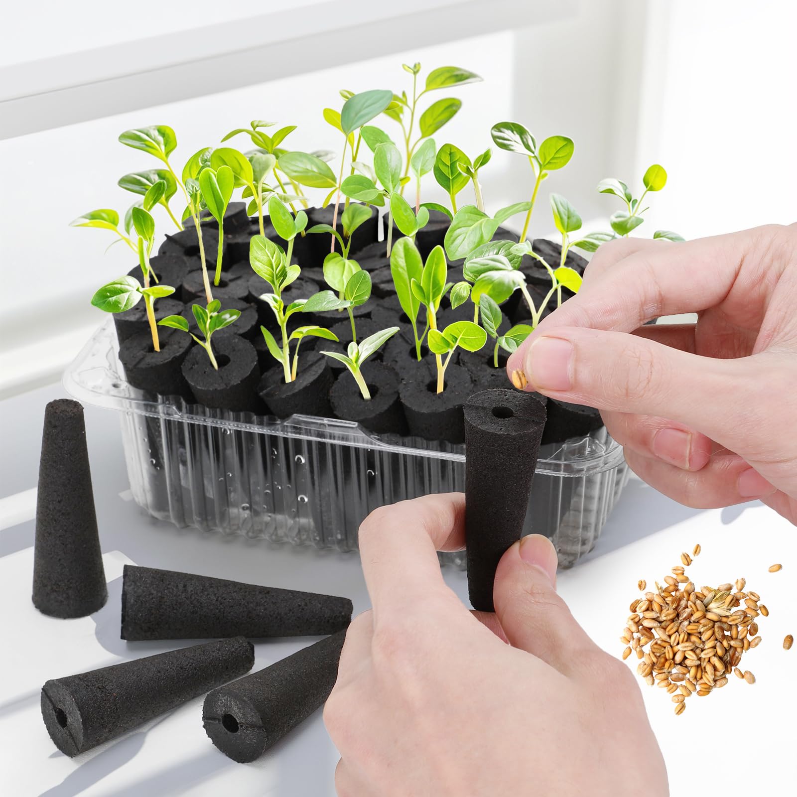 Doter Grow Sponges come in a packaged box for convenient storage.