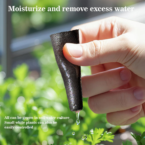 Doter Grow Sponges plant pod insertion demonstrates effortless placement in hydroponic systems.
