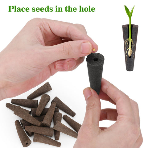 Doter Grow Sponges demonstrate root growth support for healthy roots.