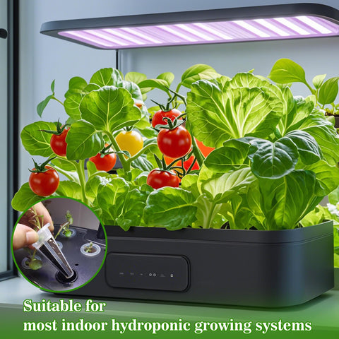 Doter Grow Sponges ideal for seedling startup and early growth.