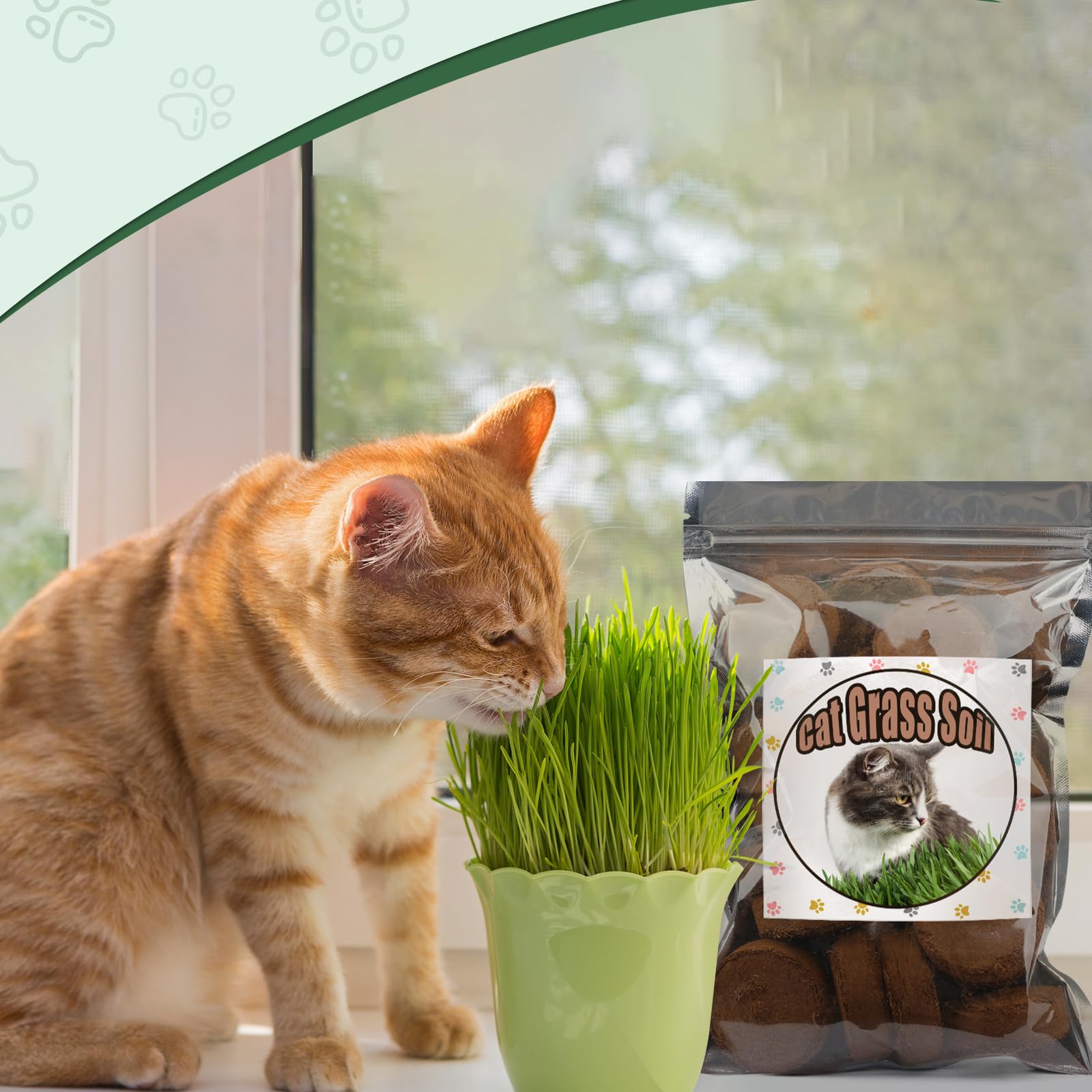 Doter indoor herbs like basil, mint, chives thrive in coconut coir discs.