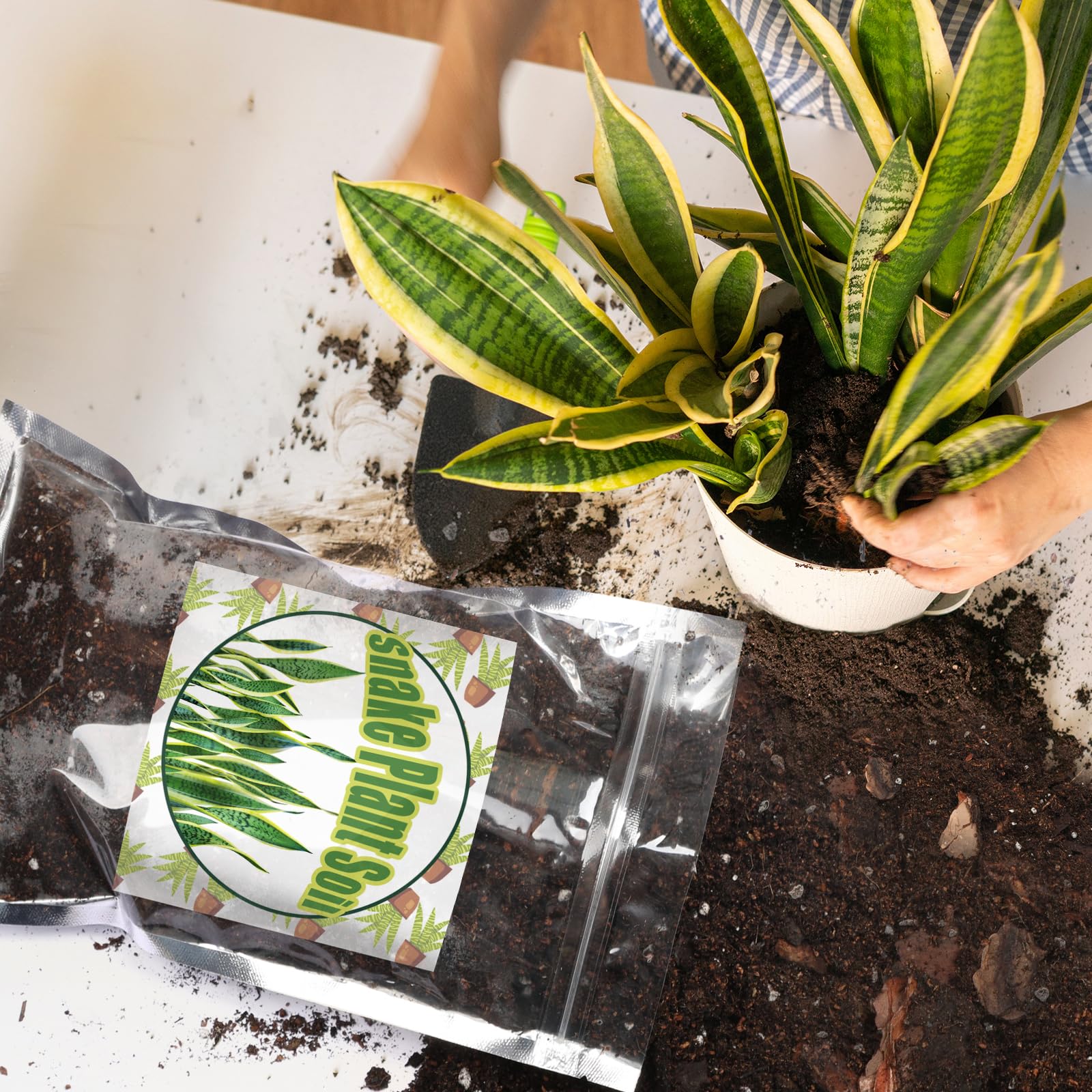 Doter moisture-balanced soil supports root health in use