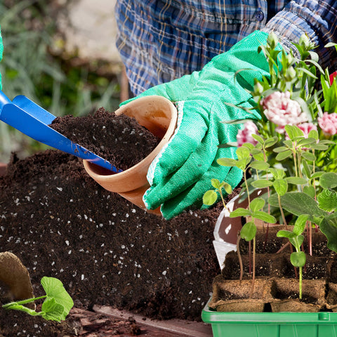 Doter Moisture balance seed starter supports proper germination and steady root growth.