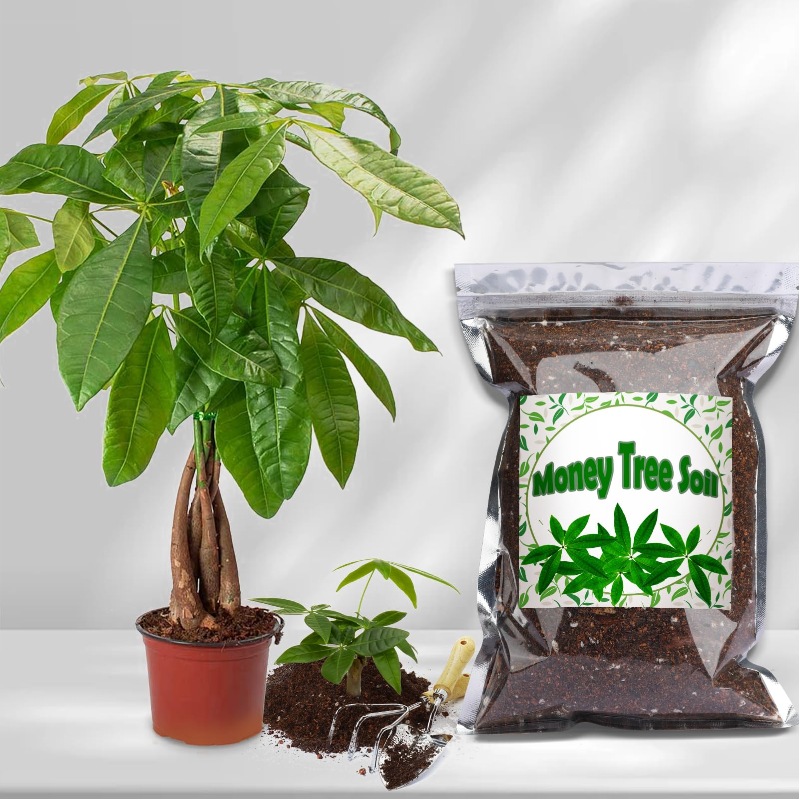 Doter Money Tree root health close-up highlights breathable soil structure