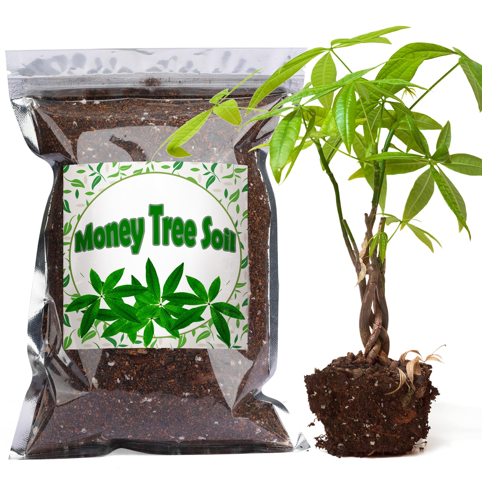 Doter money-tree soil mix 1qt supports healthy indoor money trees with balanced pH.