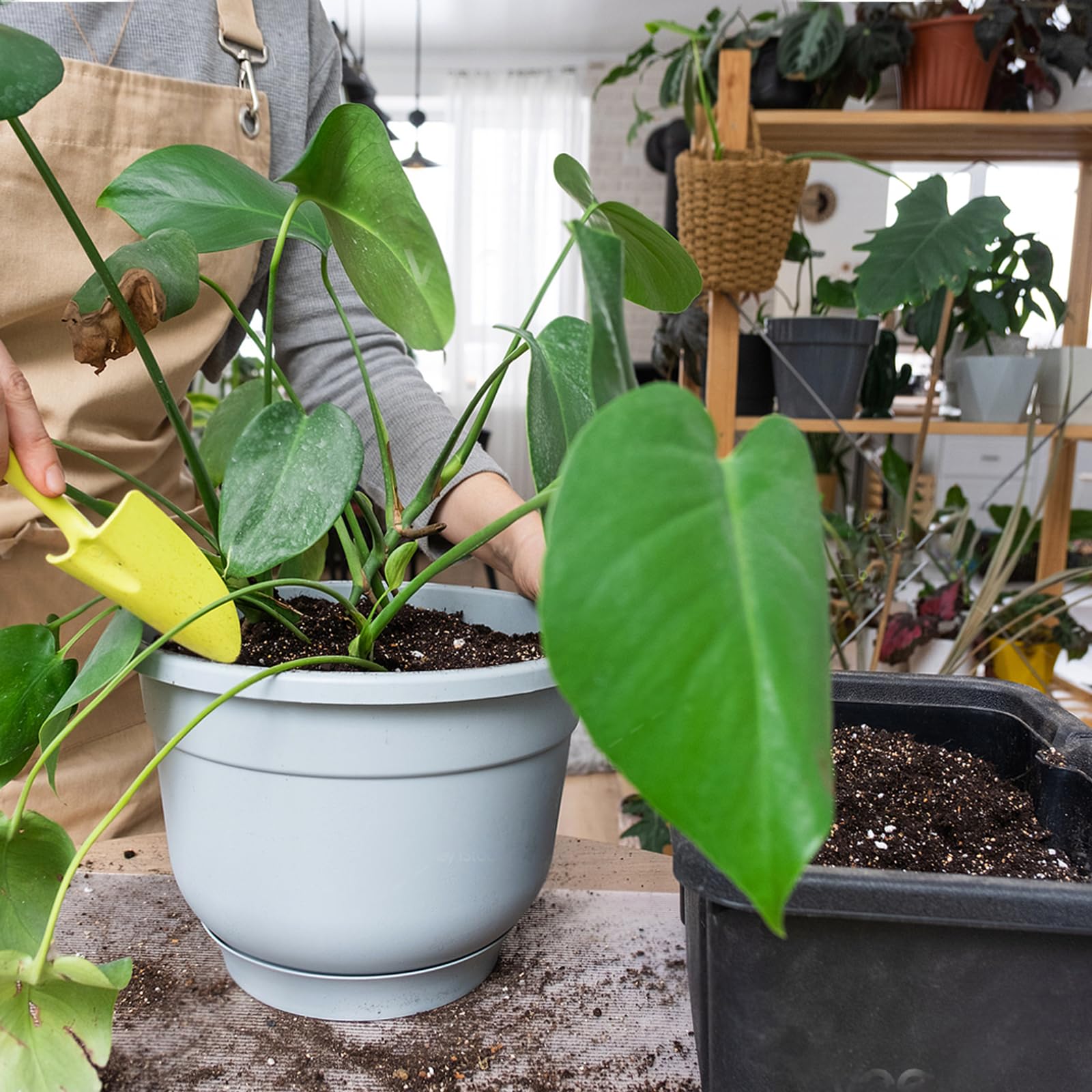 Doter Monstera Potting Soil easy repotting with lightweight texture