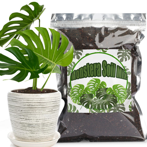 Doter Monstera Potting Soil with rapid drainage promotes healthy root air for repotting