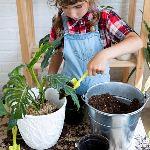 Doter Monstera Potting Soil balanced aeration and moisture at the root zone