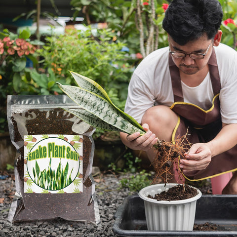 Doter nutrient-rich blend promotes lush foliage and growth