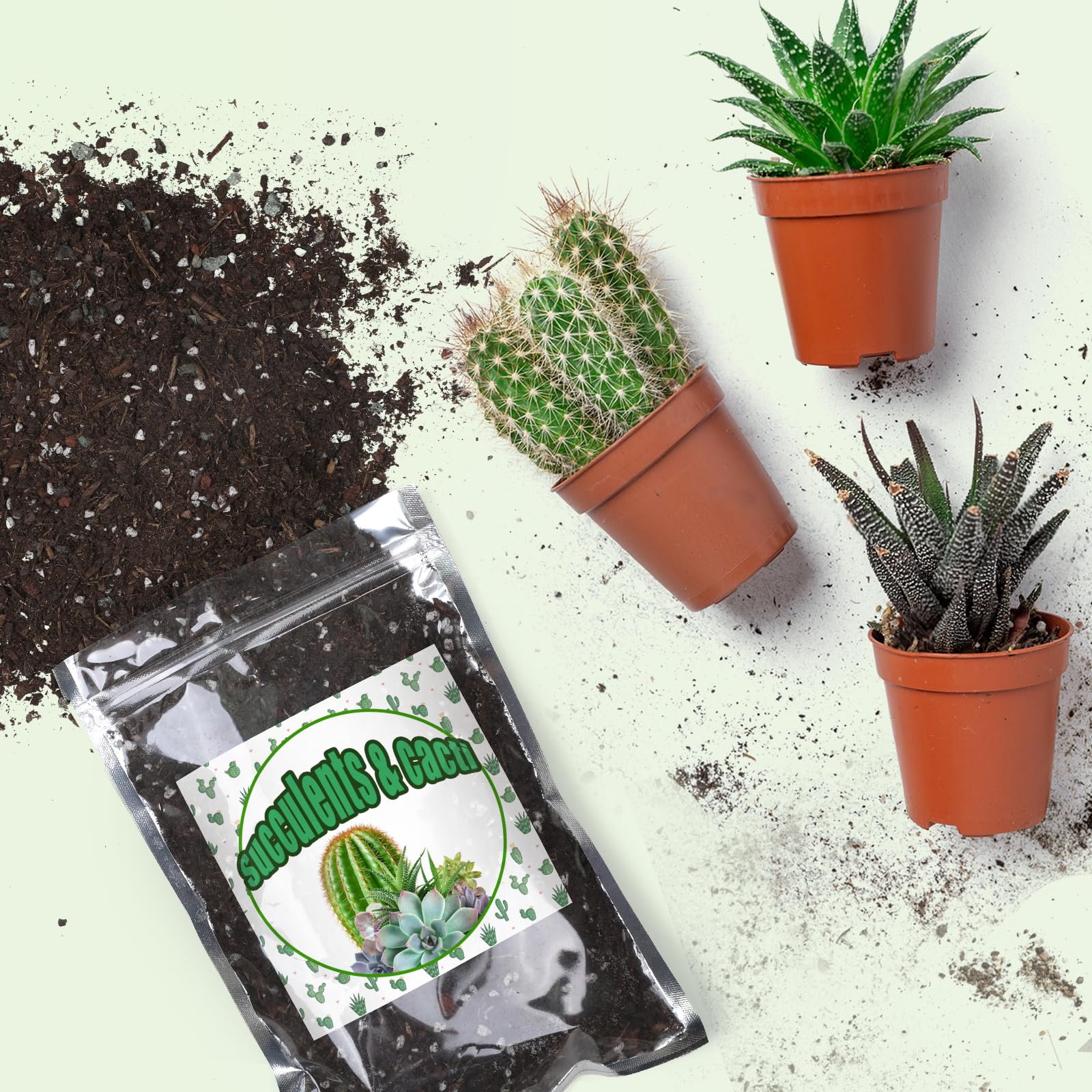 Doter nutrient-rich soil formula with slow-release nutrients for steady growth.