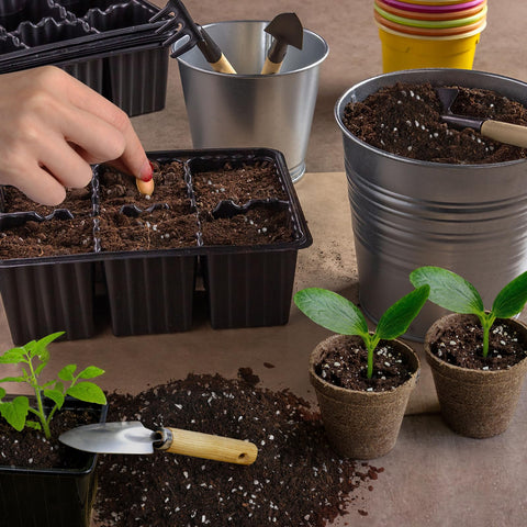 Doter nutrient-rich seedling soil provides essential nutrients for young plants.