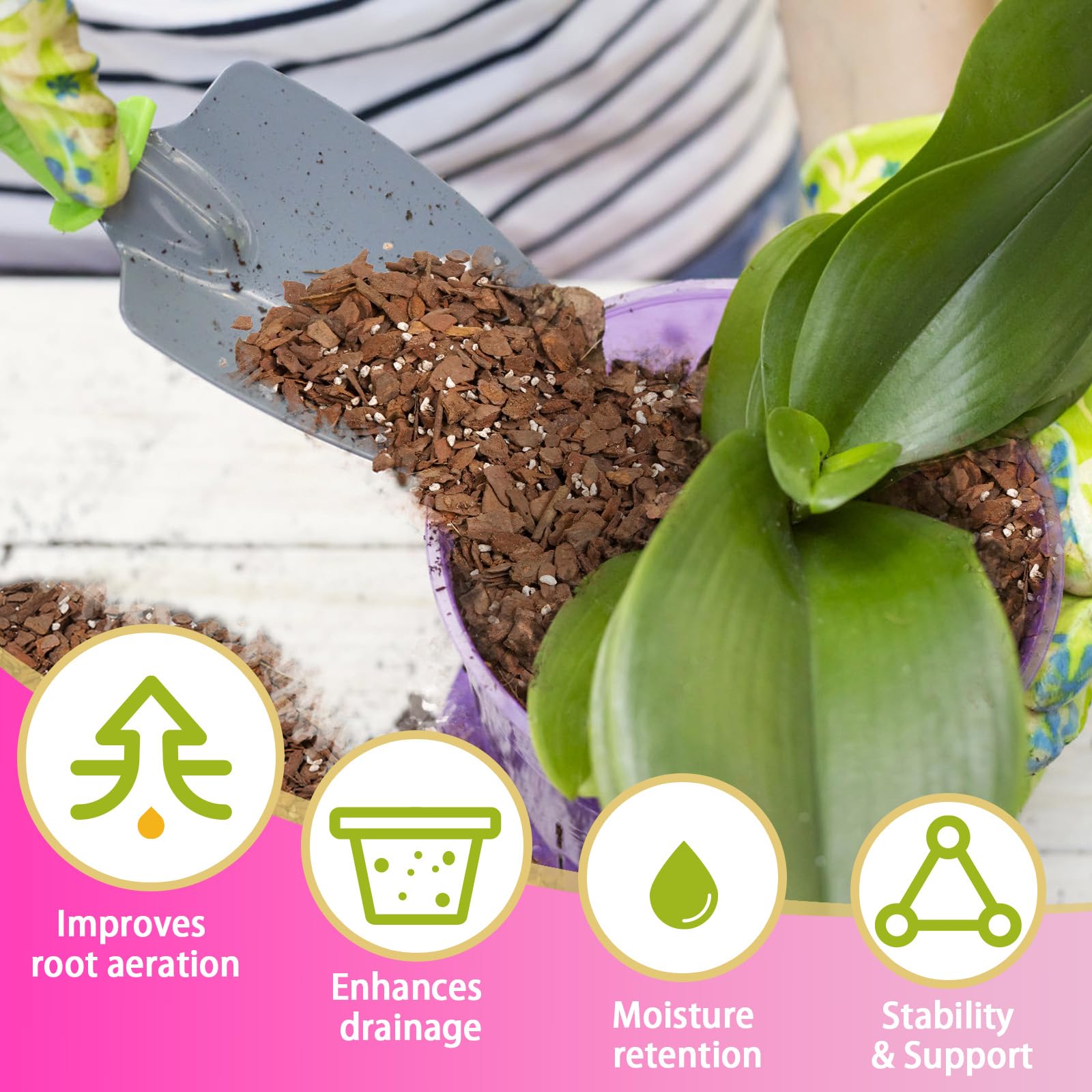 Doter orchid aeration and drainage visually evident in the mix.