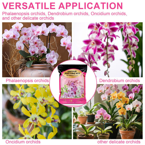 Phalaenopsis in a pot ready for repotting with Doter mix.
