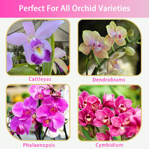 Doter orchid pH-balanced soil fosters steady growth and blooms.