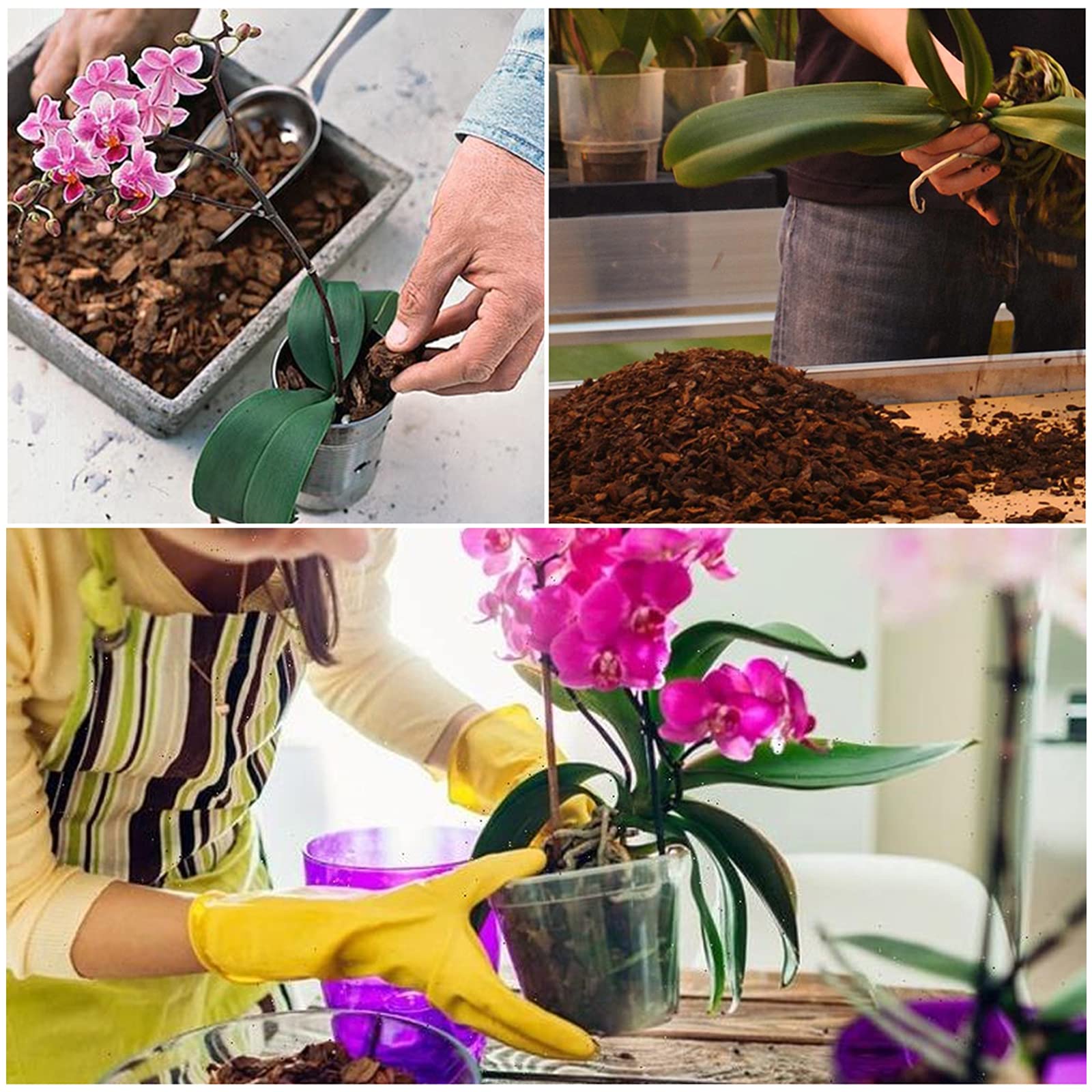 Doter orchid potting mix root growth support for epiphytic orchids.