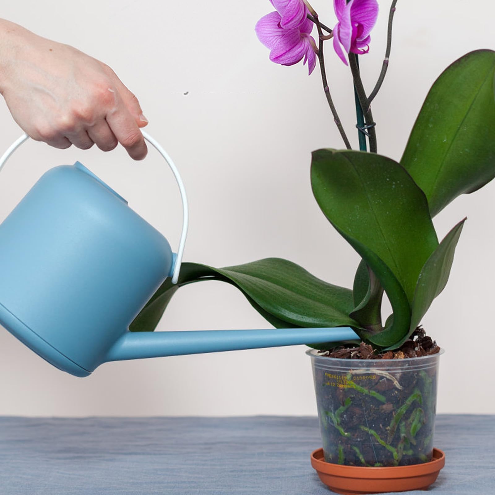 Doter orchid variety blends support Phalaenopsis, Cattleya, and Dendrobium care.