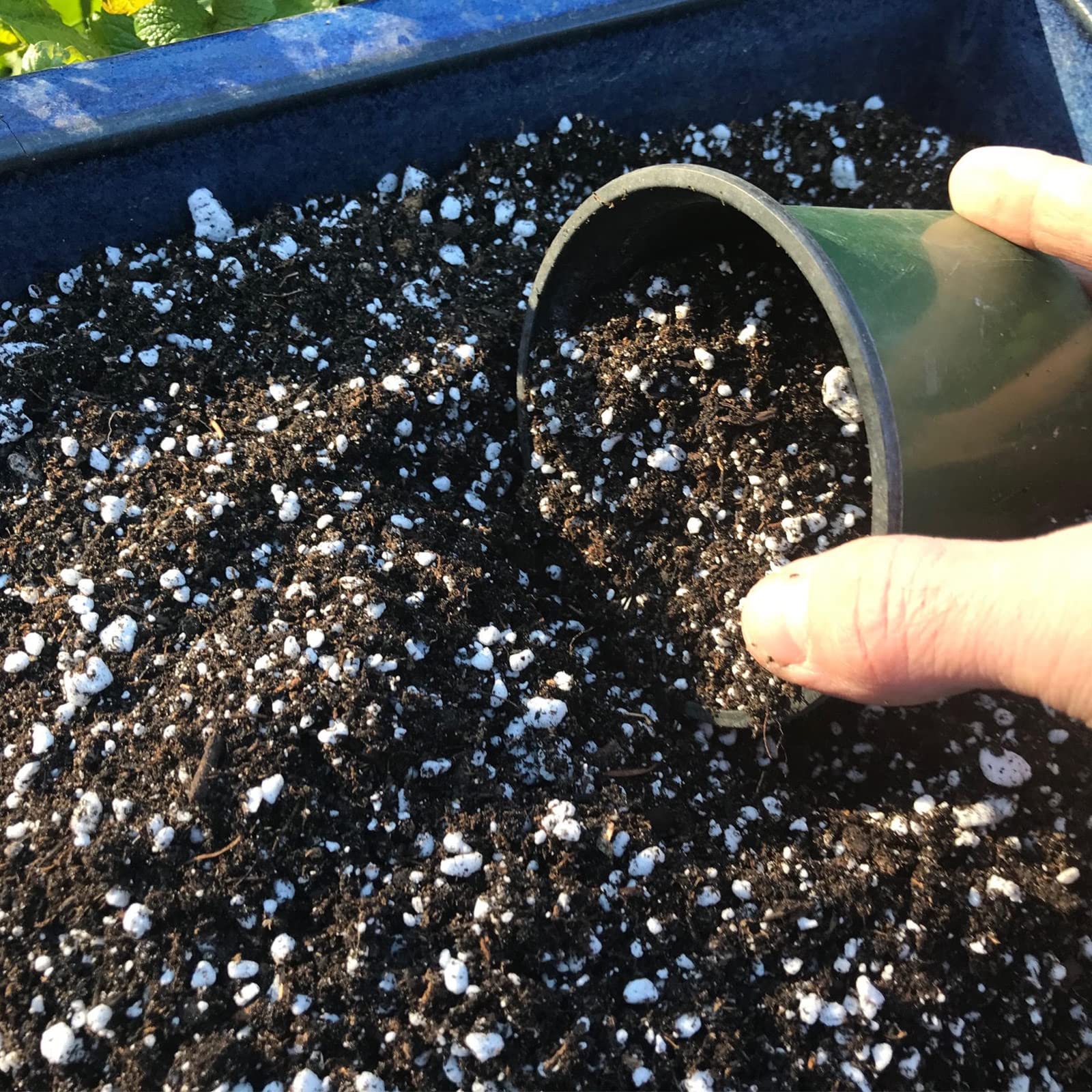 Doter Organic Perlite dispensing into mix demonstrates easy soil aeration for rooted growth.