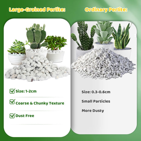 Doter Organic Perlite supports healthy roots with improved drainage and aeration.
