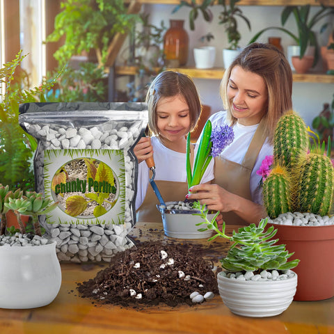 Doter Organic Perlite is lightweight and long-lasting, resisting decomposition.