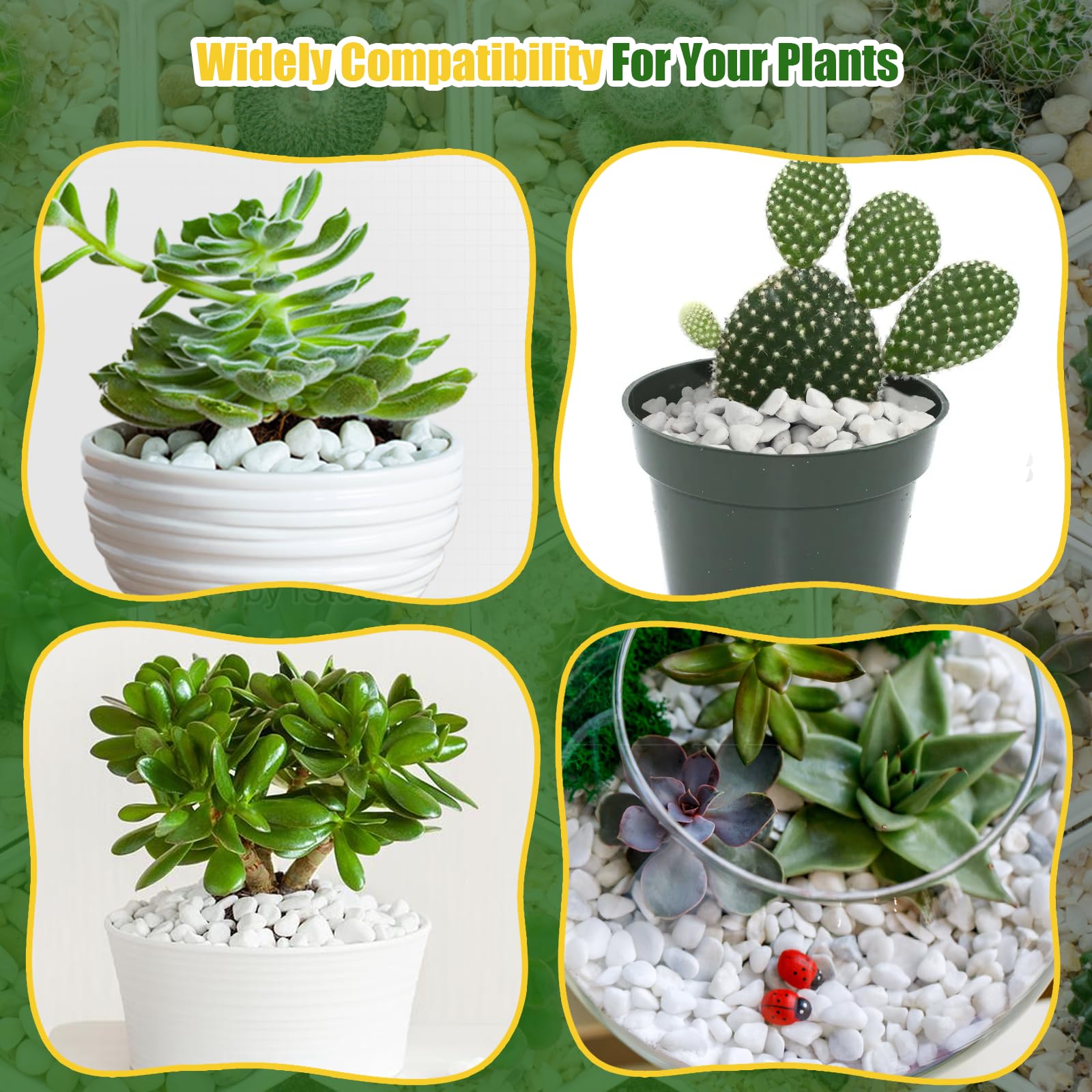 Doter Organic Perlite is non-toxic and odorless for safe garden use.