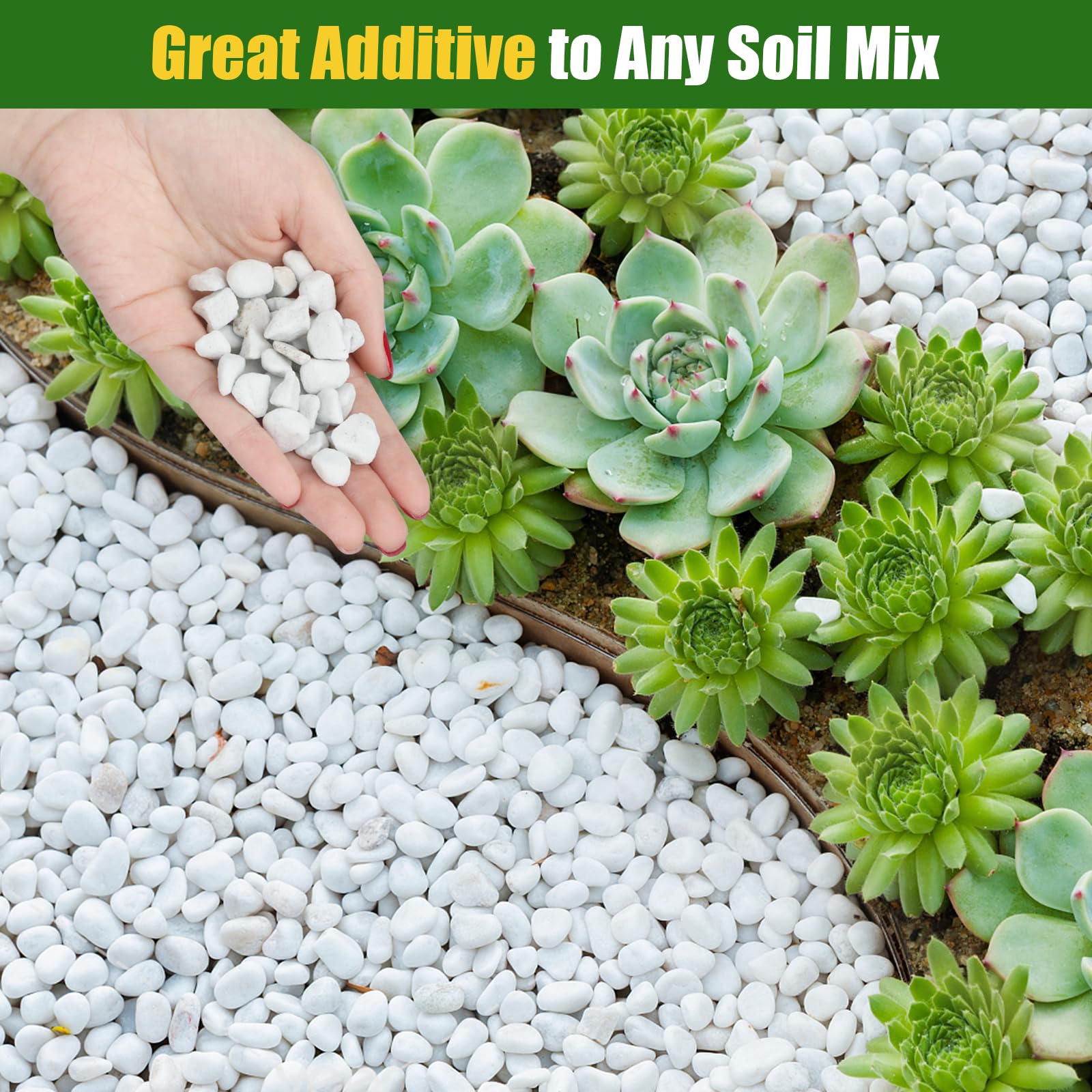 Doter Organic Perlite suitable for cuttings, bulbs, soil, and bark mixes.