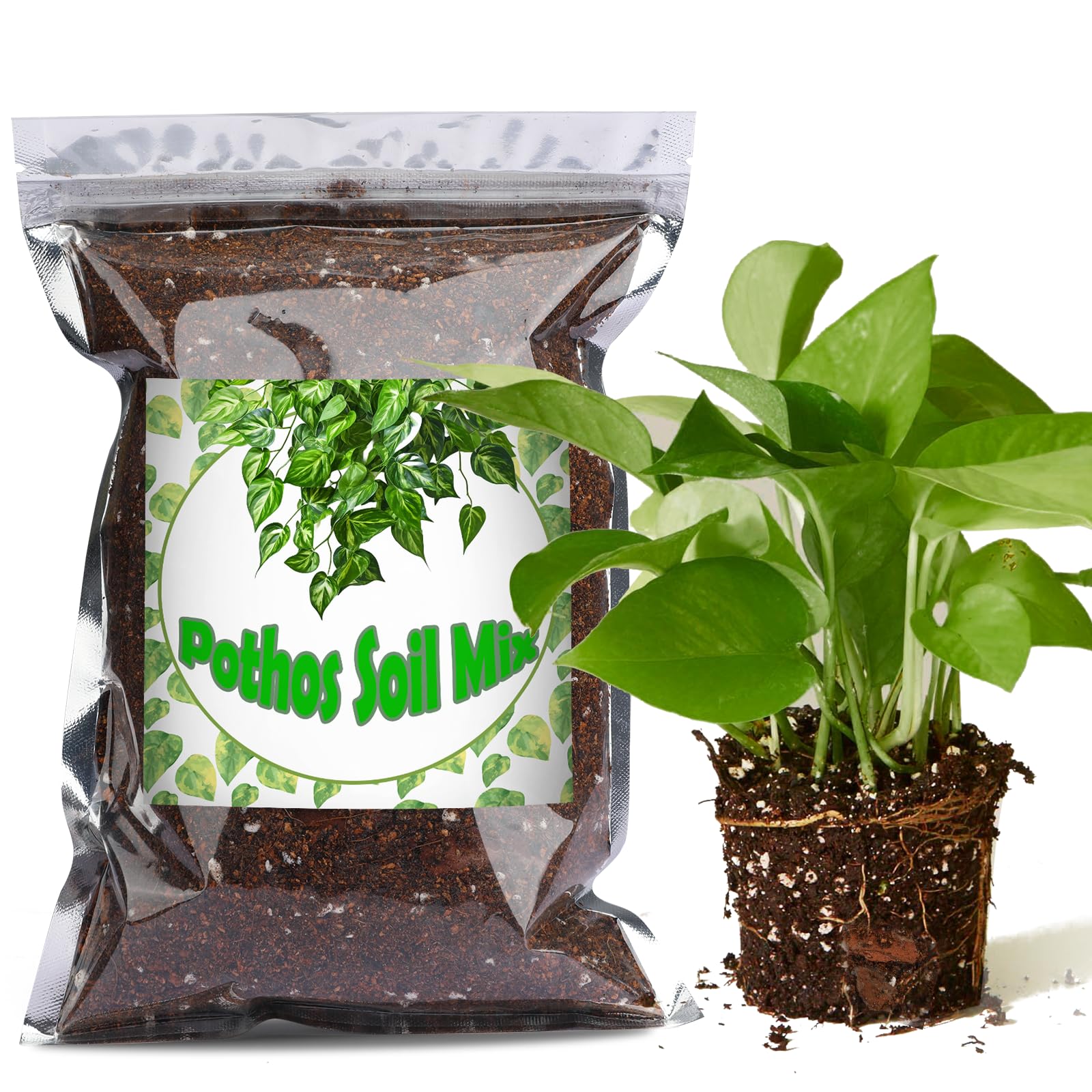 Doter 1qt pothos soil mix in a bag, ready for indoor plant setup