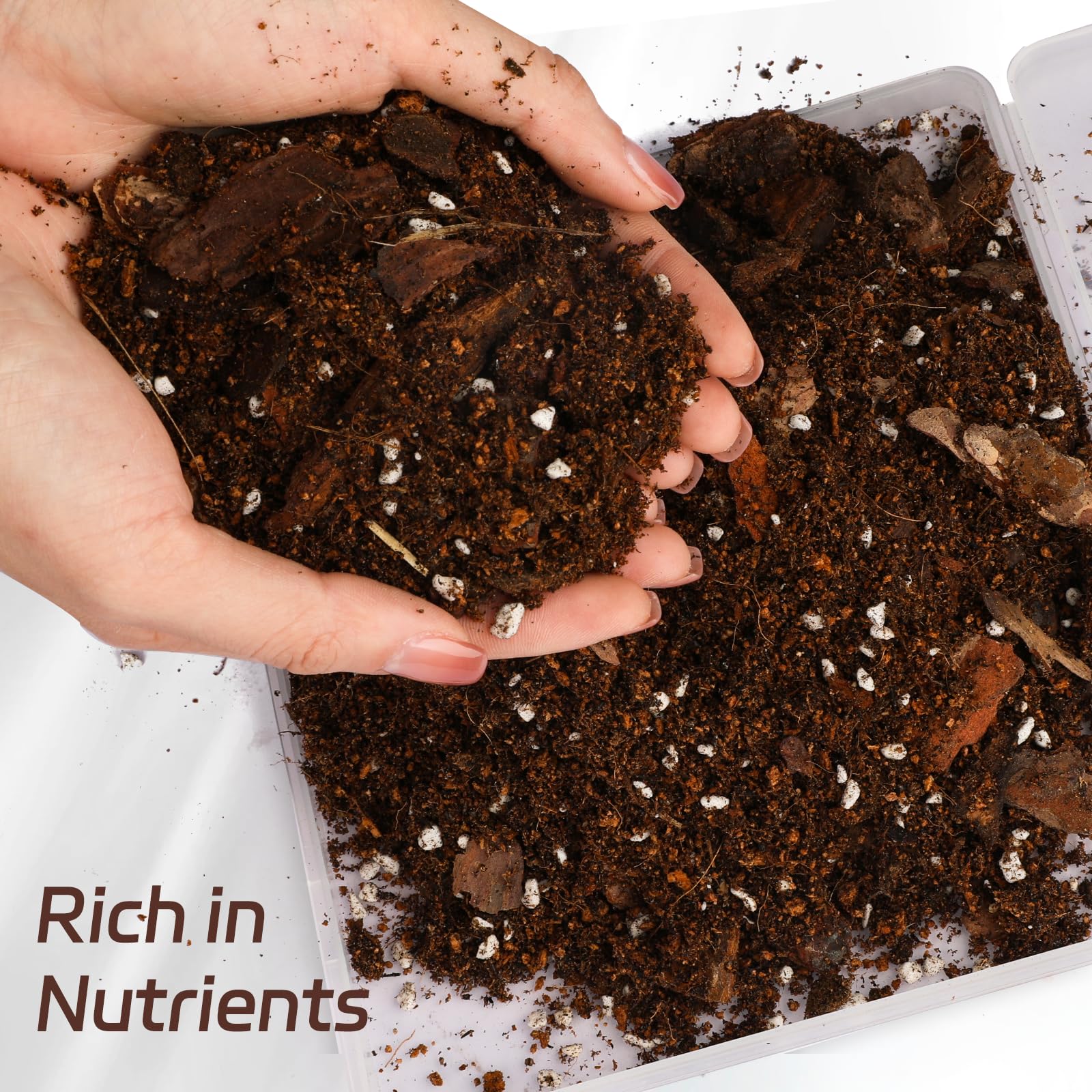 Loosely textured Doter mix supports aeration for healthy pothos roots