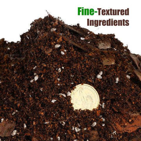 Doter pothos soil mix with perlite for excellent drainage