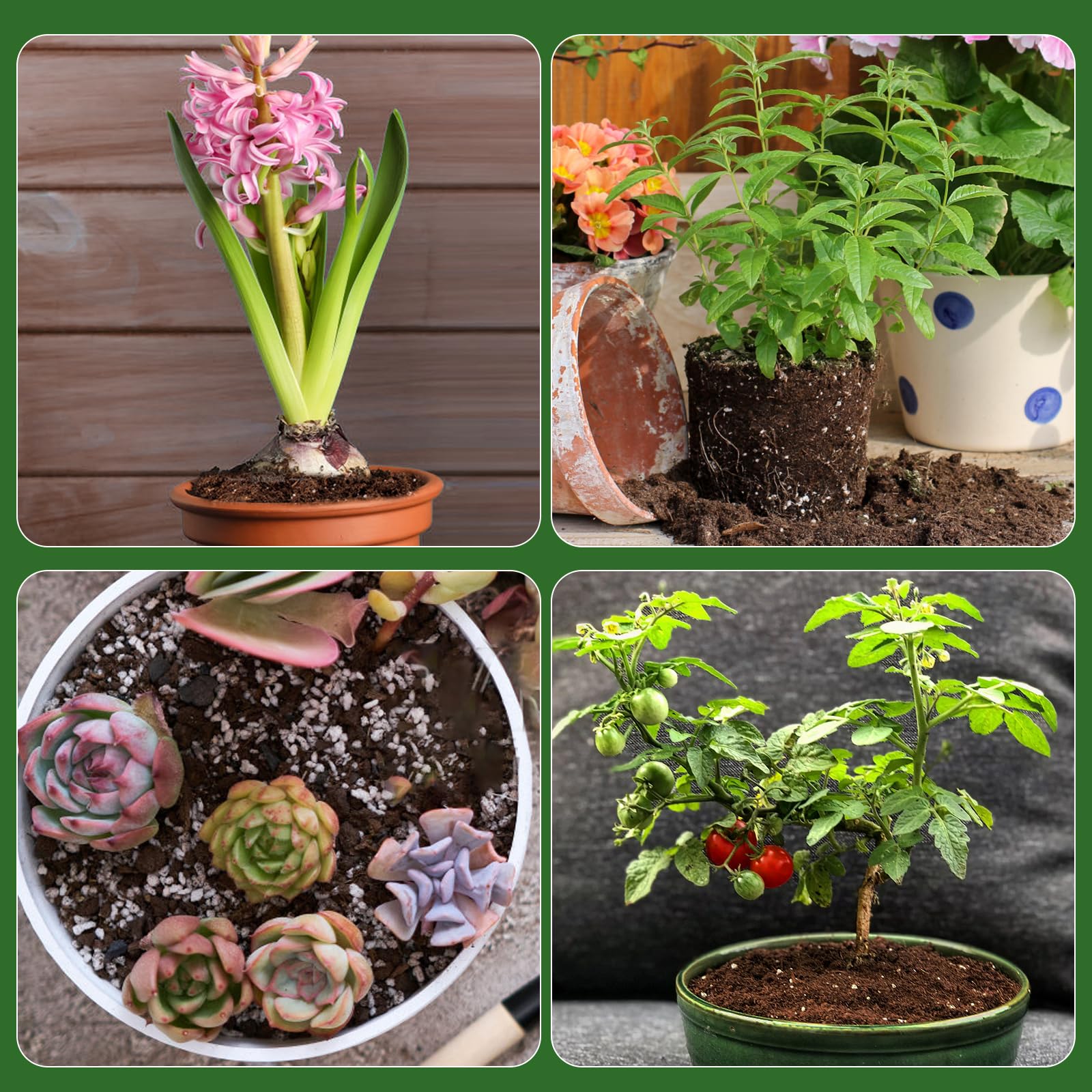 Doter organic potting mix in use in a home garden setting.