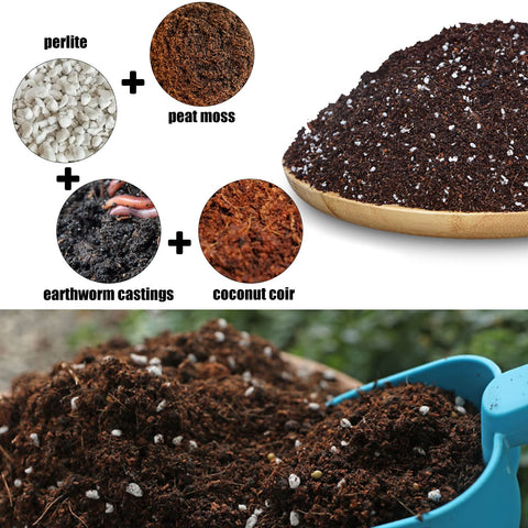 Doter soil provides aeration boost for strong root development in containers