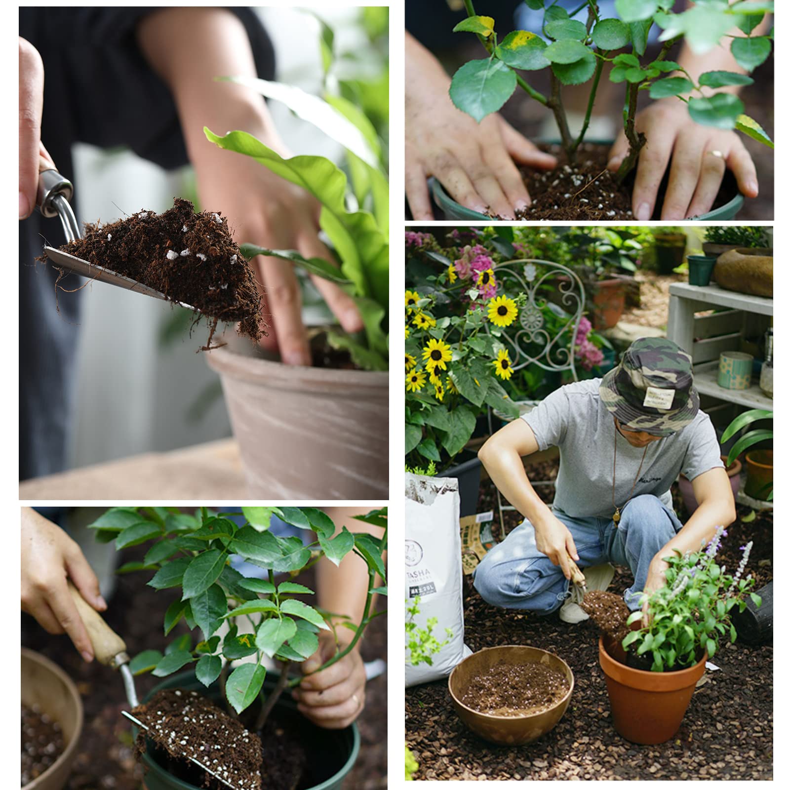 Doter soil supports herb garden setups in compact pots