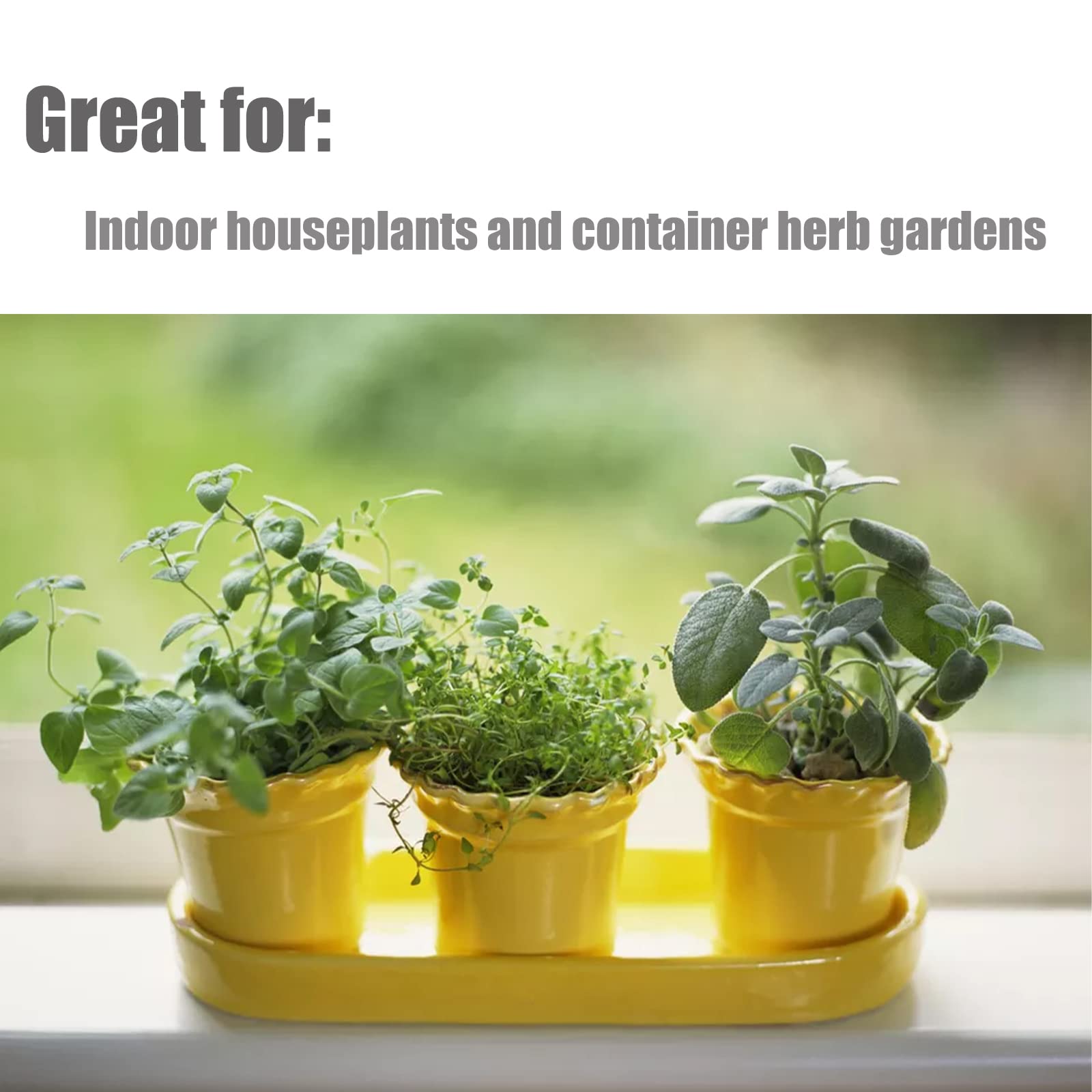 Doter soil ideal for small containers and balcony herb gardens