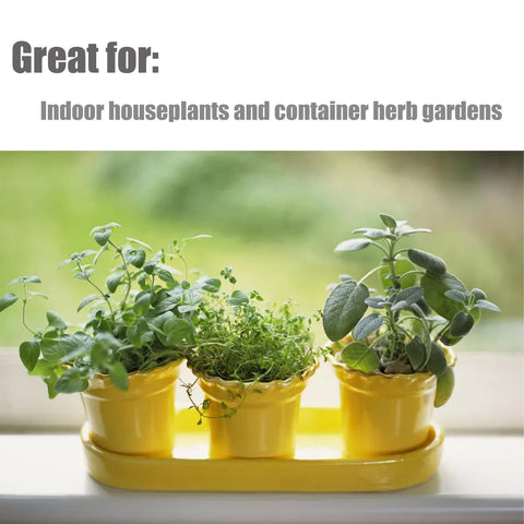 Doter soil ideal for small containers and balcony herb gardens
