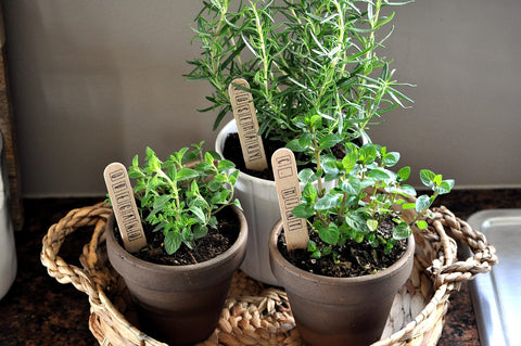 Doter soil suited for vegetables in tight spaces and harvests