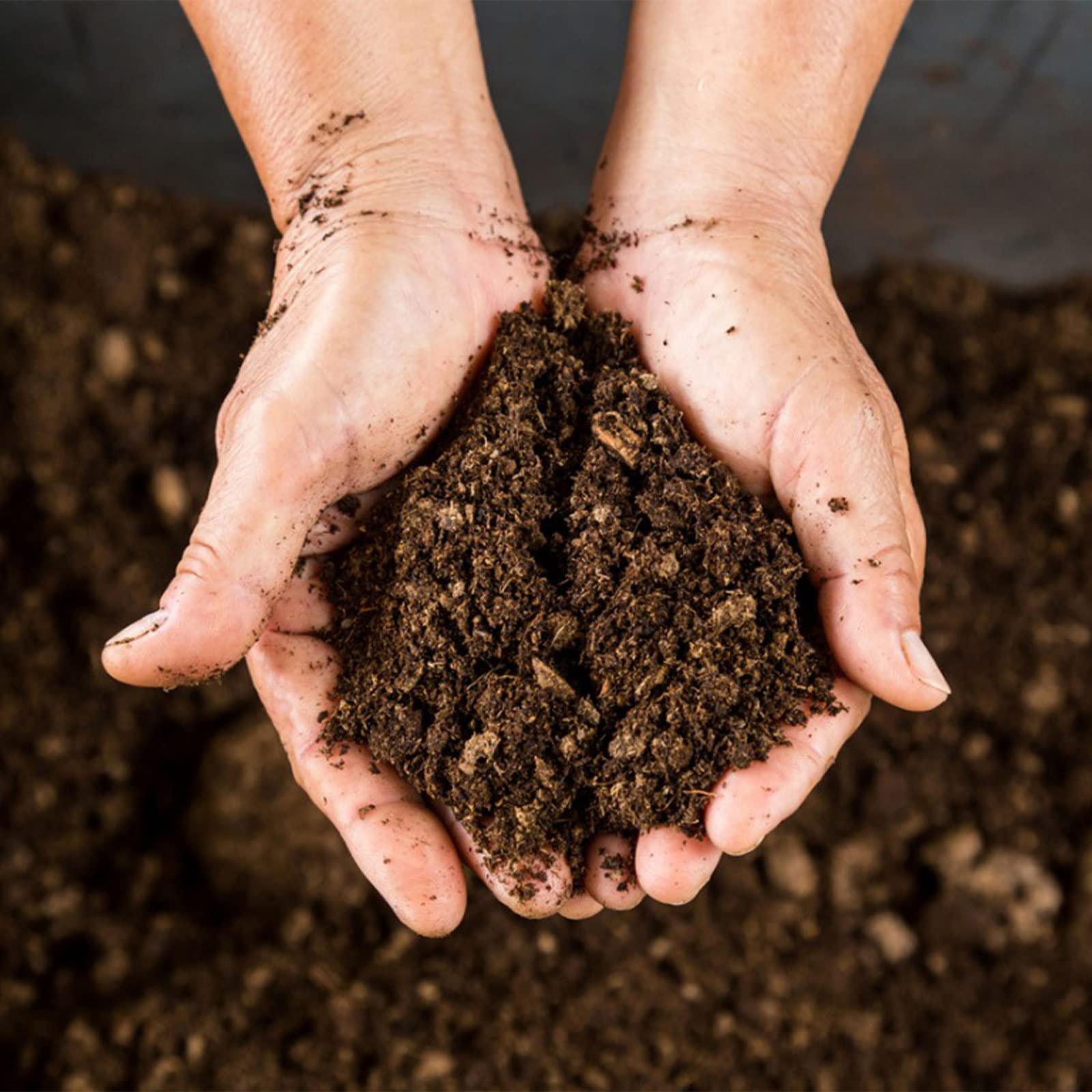 Doter peat moss texture showing acidic pH suitable for fruit plants