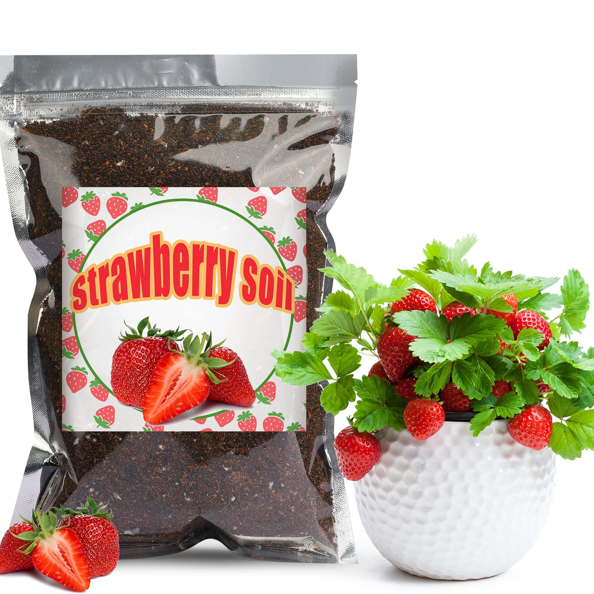 Doter Organic Strawberry Soil Mix 2qt bag cut open for easy planting.