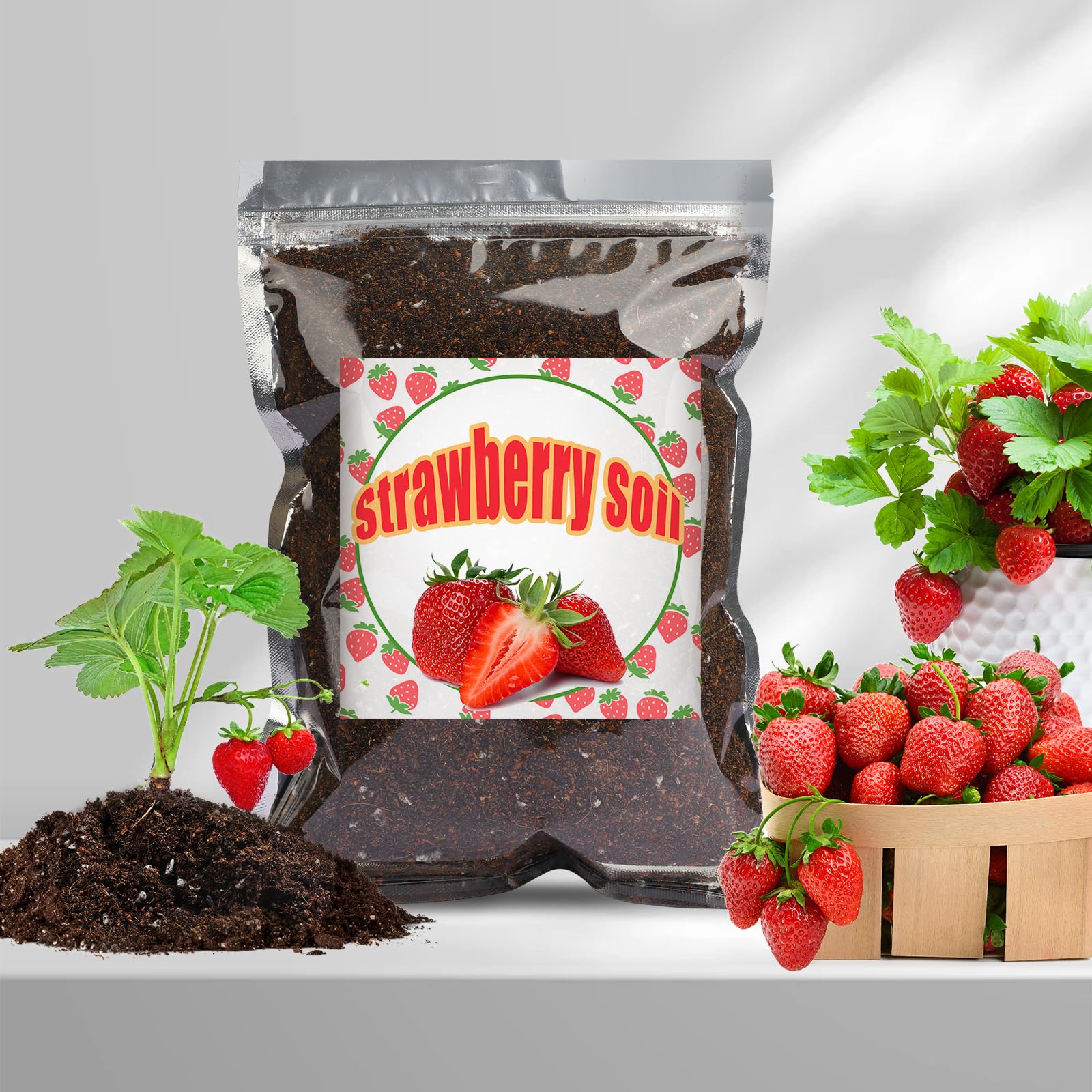 Doter Organic Strawberry Soil Mix 2qt indoor-potted-plant soil around robust roots.