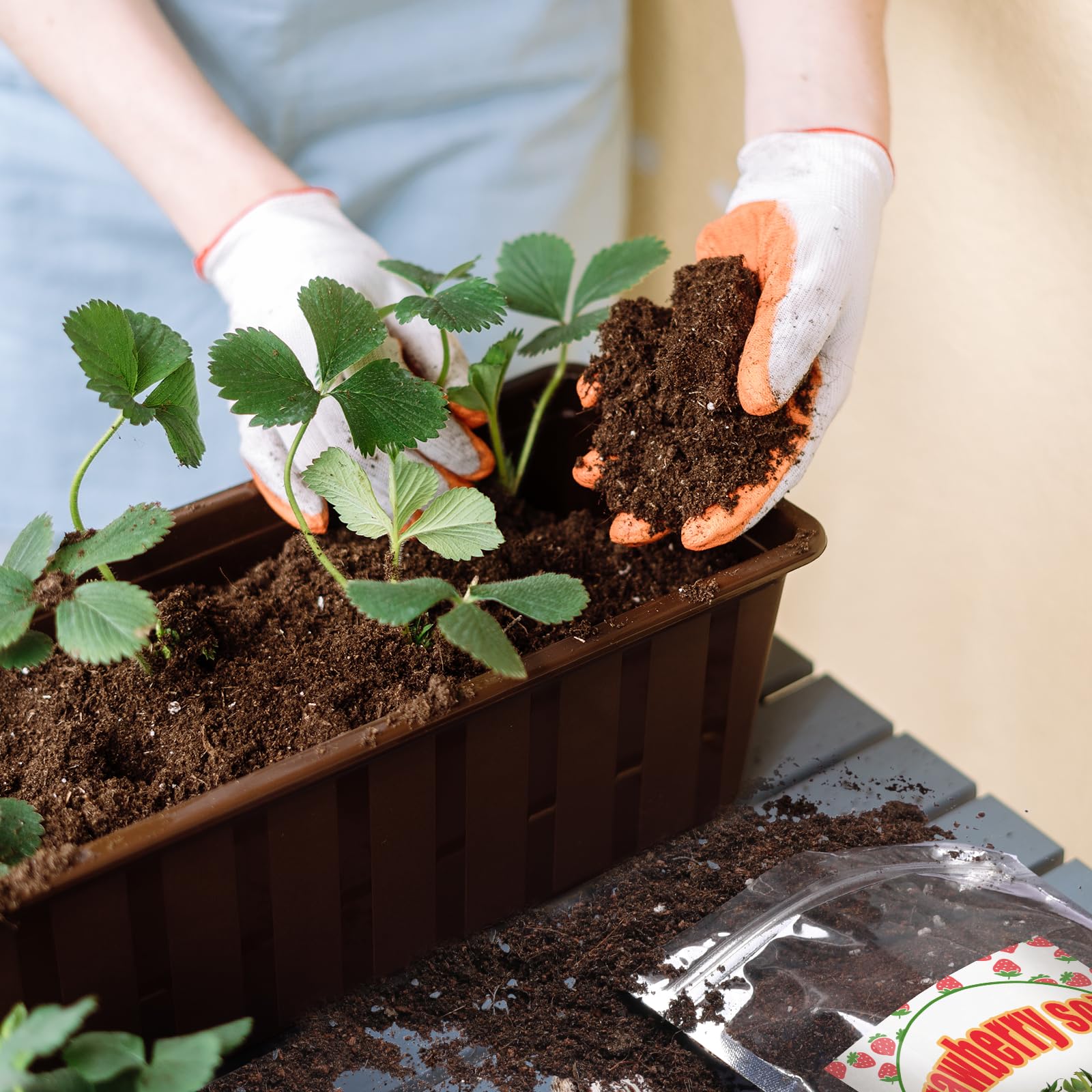 Doter Organic Strawberry Soil Mix 2qt pH-balance support for optimal growth.