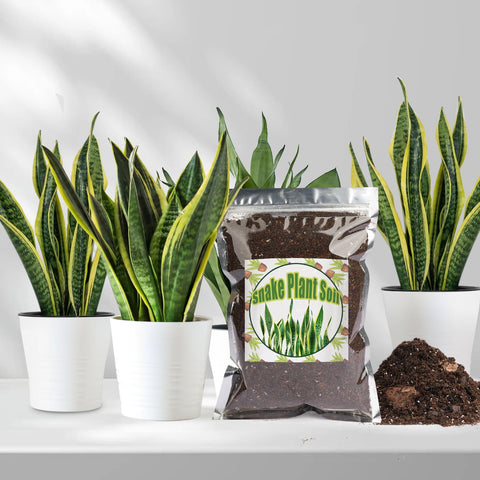 Doter packaging and label highlight nutrient-rich composition