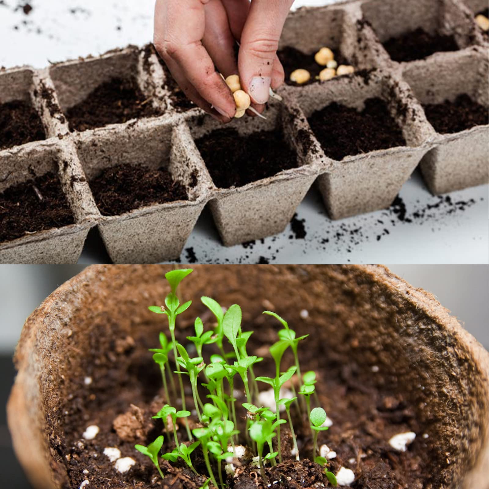 Doter peat moss resealable pouch keeps product fresh between uses.